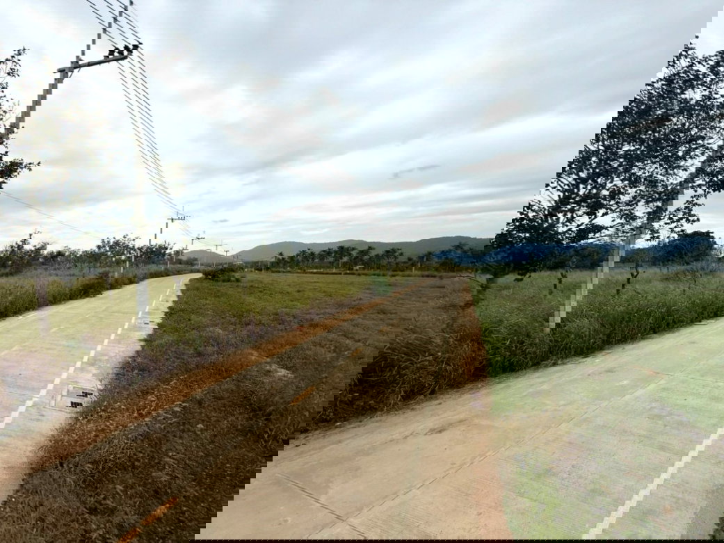 รูป ขาย ที่ดิน ME397 แปลงใหญ่ ผัง EEC สีม่วงลาย เขาคันทรง ศรีราชา ชลบุรี ขนาด 151 ไร่ 3 งาน 49 ตรว ใกล้ ท่าเรือแหลมฉบัง ถนน 331 เพียง 750 m. - รูปที่ 2/12