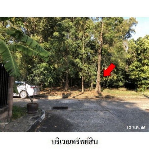 รูป Z1T1154 ขายที่ดินเปล่า แขวง ทรายกองดิน เขต คลองสามวา จังหวัด กรุงเทพมหานคร - รูปที่ 8/8