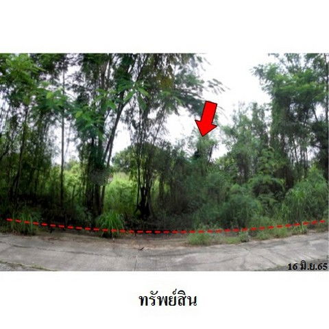 รูป Z1T2182 ขายที่ดินเปล่า แขวง ทรายกองดิน เขต คลองสามวา จังหวัด กรุงเทพมหานคร - รูปที่ 4/8