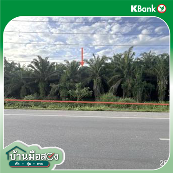 รูป ที่ดินว่างเปล่า สำหรับขาย - ท่าโรงช้าง พุนพิน สุราษฎร์ธานี - รูปที่ 20/22