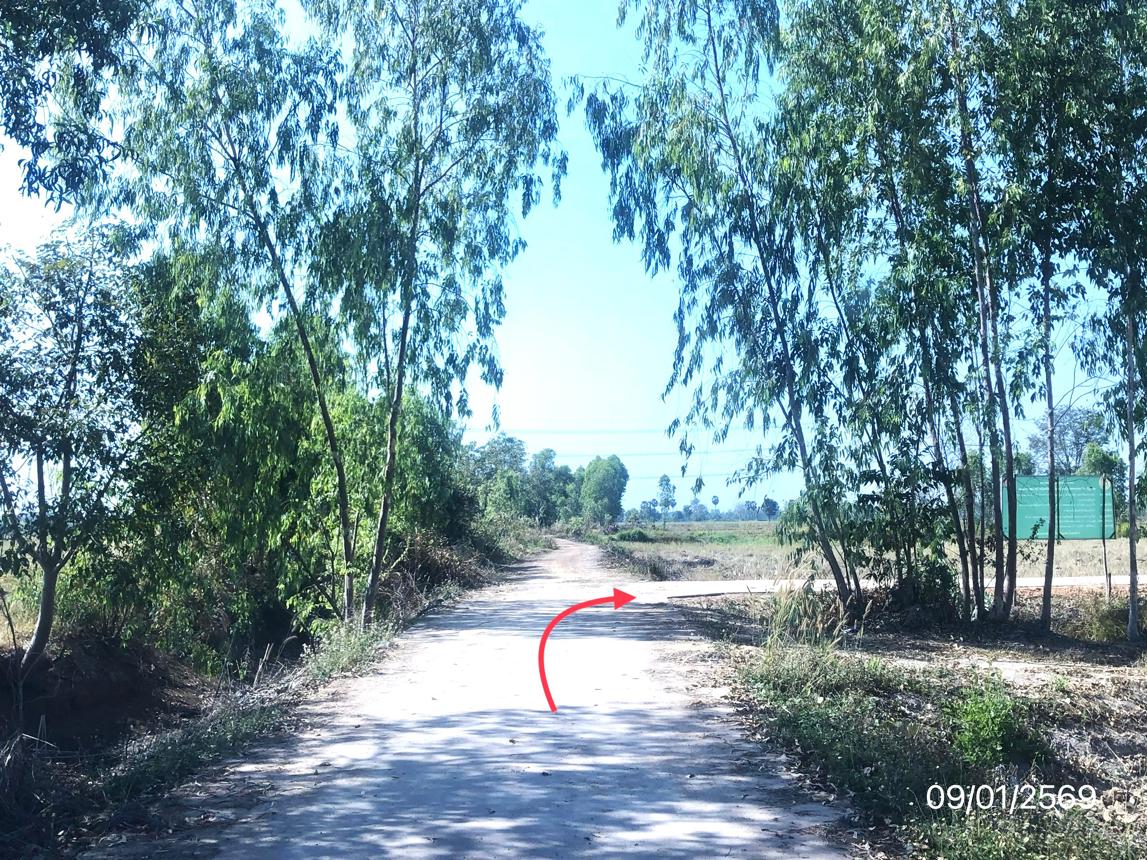 รูป ที่ดินว่างเปล่า สำหรับขาย - หนองพระ วังทอง พิษณุโลก - รูปที่ 12/16