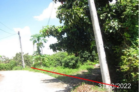 FLK2_101_1 ขายที่ดินเปล่า ต. ม่วงน้อย อ.ป่าซาง จ.ลำพูน