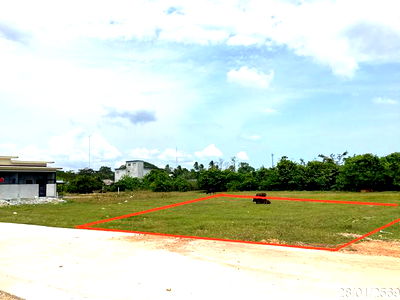 Land for sale Chana Songkhla : LAND for sale  Ban Na Chana Songkhla