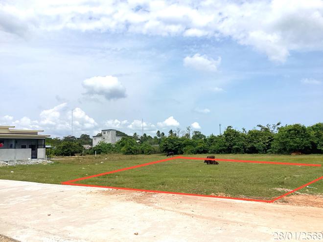 รูป ที่ดินว่างเปล่า สำหรับขาย - บ้านนา จะนะ สงขลา - รูปที่ 1/14