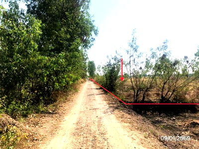 ที่ดิน พิษณุโลก : ที่ดินว่างเปล่า สำหรับขาย - หนองพระ วังทอง พิษณุโลก