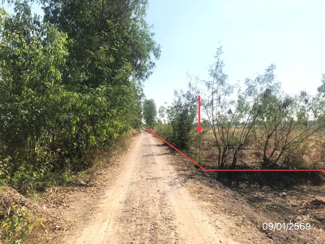 รูป ที่ดินว่างเปล่า สำหรับขาย - หนองพระ วังทอง พิษณุโลก - รูปที่ 1/16