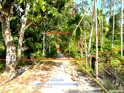 ที่ดิน รัตภูมิ สงขลา : ที่ดินว่างเปล่า สำหรับขาย - เขาพระ รัตภูมิ สงขลา