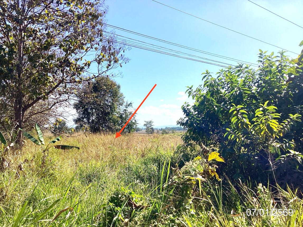 รูป ที่ดินว่างเปล่า สำหรับขาย - หงส์หิน จุน พะเยา - รูปที่ 12/16