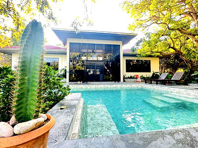 บ้านเดี่ยว ชลบุรี : 1 Rai Luxury Pool Villa for Sale in Bang Saray