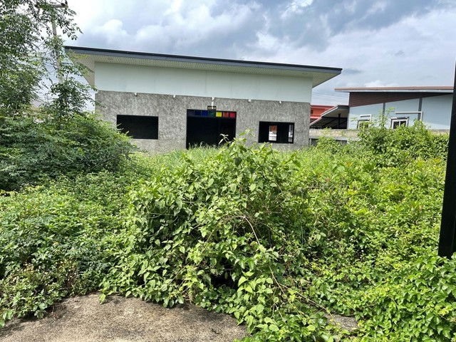 รูป FLK2_009_1 ขายบ้านเดี่ยว ต. โป่งผา อ.แม่สาย จ.เชียงราย - รูปที่ 5/8