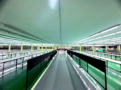 โรงงาน สามพราน นครปฐม : ขายโรงงานพรีเมียมมาตรฐานสากล – สามพราน นครปฐม พร้อมที่ดินขนาดใหญ่