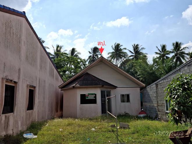 รูป บ้านเดี่ยว สำหรับขาย - ห้วยนาง ห้วยยอด ตรัง - รูปที่ 1/24