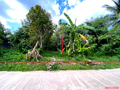 Land for sale : LAND for sale  Thap Chang Na Thawi Songkhla