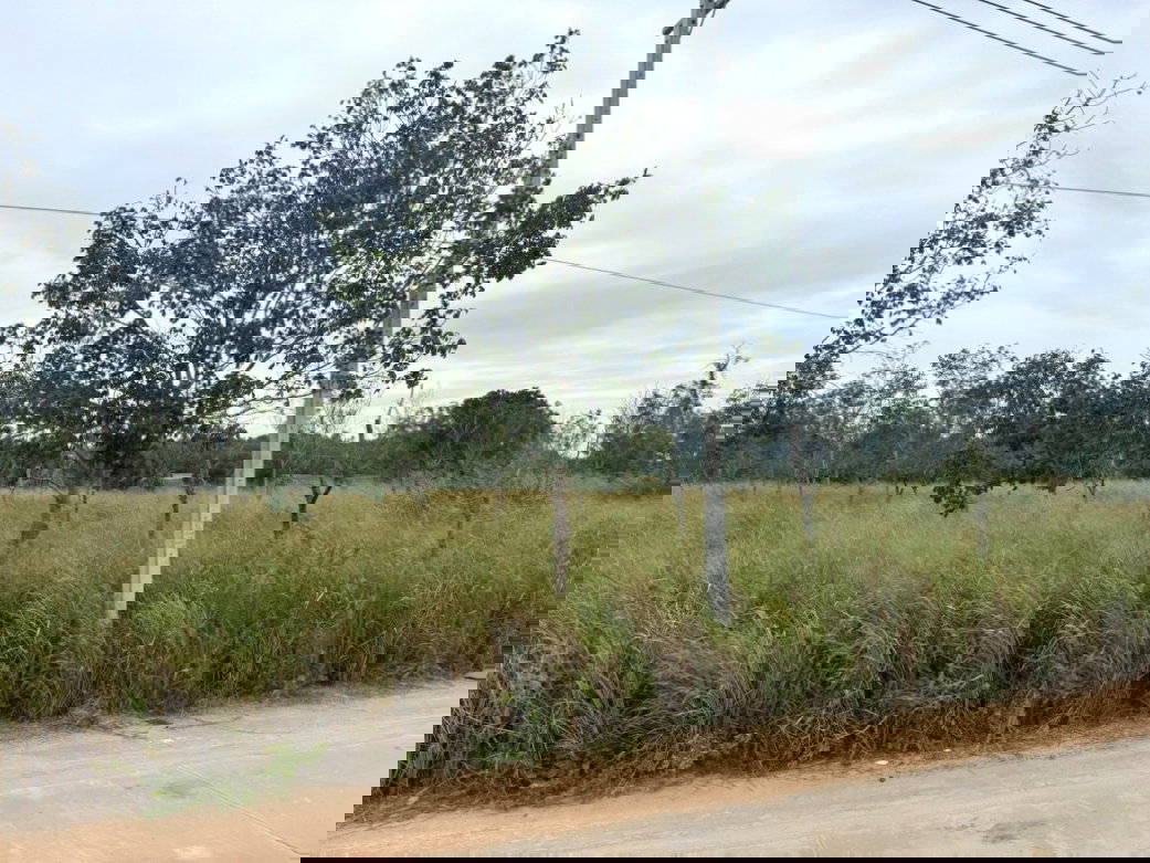 รูป ขาย ที่ดิน ME397 แปลงใหญ่ ผัง EEC สีม่วงลาย เขาคันทรง ศรีราชา ชลบุรี ขนาด 151 ไร่ 3 งาน 49 ตรว ใกล้ ท่าเรือแหลมฉบัง ถนน 331 เพียง 750 m. - รูปที่ 5/12