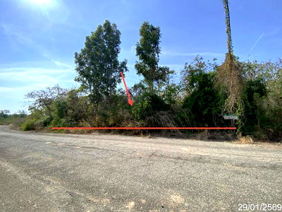 ที่ดิน นิคมทีเอฟดี : ที่ดินว่างเปล่า สำหรับขาย โครงการบางปะกง ริเวอร์ไซด์ แสนภูดาษ บ้านโพธิ์ ฉะเชิงเทรา