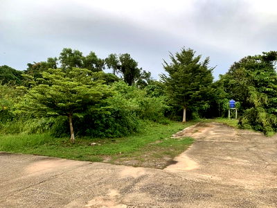 ที่ดิน ตรัง : FZB_087 ขายที่ดินเปล่า ถนนสายตรัง-กันตัง ต. กันตัง อ.กันตัง จ.ตรัง