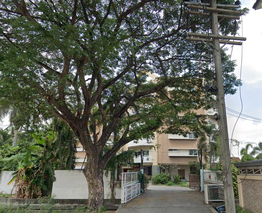 รูป Pinetum Place - รูปที่ 1/3