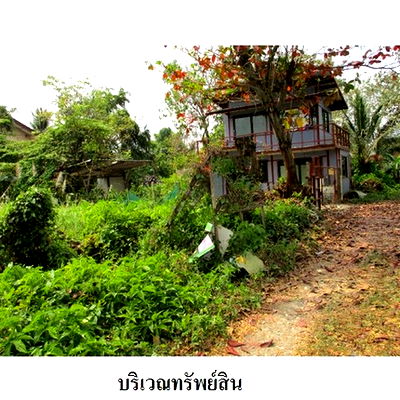 ที่ดิน ดีไซน์ วิลเลจ พุทธมณฑล : Z8Z4864 ขายที่ดินเปล่า แขวง บางไผ่ เขต บางแค จังหวัด กรุงเทพมหานคร