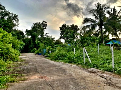 ที่ดิน ตรัง : FZB_087 ขายที่ดินเปล่า ถนนสายตรัง-กันตัง ต. กันตัง อ.กันตัง จ.ตรัง