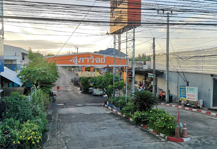 สุภาวัลย์ ร่มเกล้า