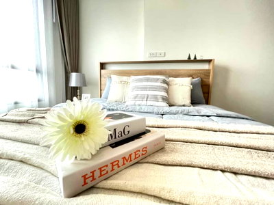 Condos for rent : 🌟 For Rent: Rich Park Triple Station Condo! High Floor, Great View, Only 50m to MRT! 🚇 Fully Furnished & Ready to Move In! 🏡 (DSP470)