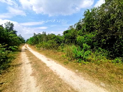 ที่ดิน ยะลา : FZA_059 ขายที่ดินเปล่า บ้านหัวควน-บ้านไม้แก่น ต. วังพญา อ.รามัน จ.ยะลา