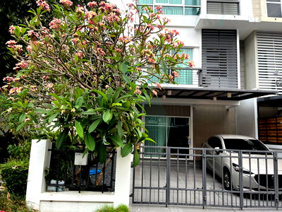 Townhouses for sale Bangkok : 📌 For Sell Town house THE METRO RAMA 9 3-story 3 bedroom 3 bathroom