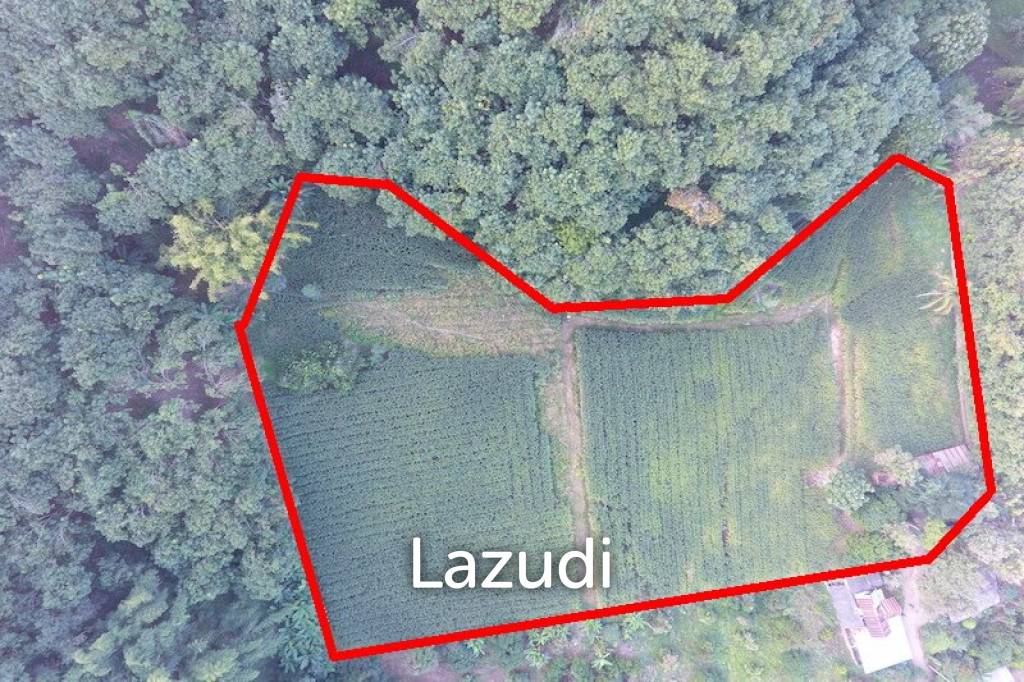 รูป 6 rai of land on Hill for Sale - รูปที่ 7/9