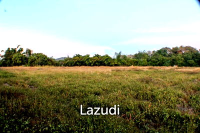 ที่ดิน เชียงราย : Land for Sale in Good Location