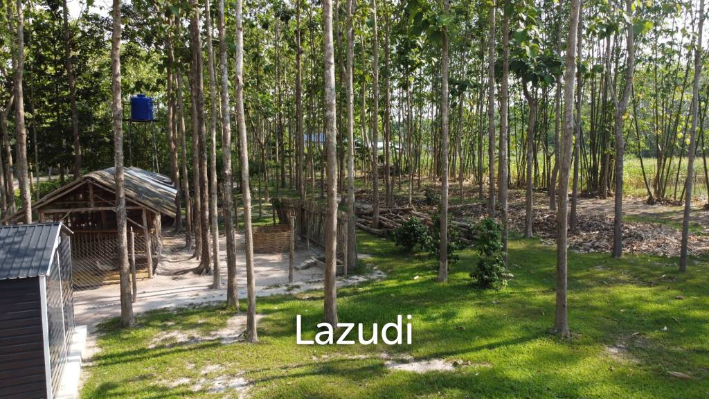 รูป ขายบ้าน 2 ห้องนอนในสวนไม้สักในพื้นที่กว่า 7 ไร่ - รูปที่ 69/74