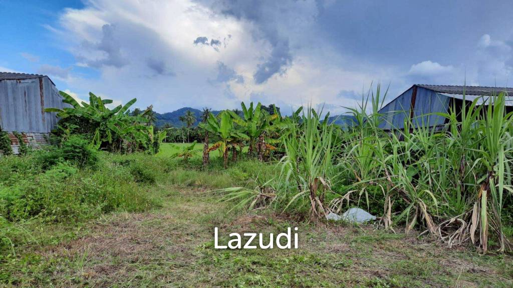 รูป ขายที่ดิน 2 งานติดถนนทางหลวงไปอ.เทิง ห้วยสัก เมืองเชียงราย - รูปที่ 8/15