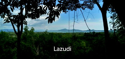 Land for sale Takua Thung Phangnga : Land not attached to a mortgage 30 rai before reaching Koh Samet Nangshe