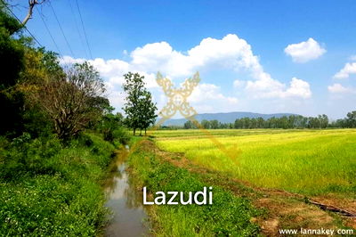 ที่ดิน เชียงราย : 8 Rai of Land in Wiang Chiang Rung for Sale