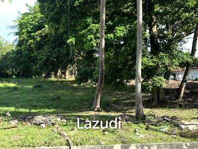 Land for sale Surat Thani : Plots for Sale – Prime Location, Thong Sala