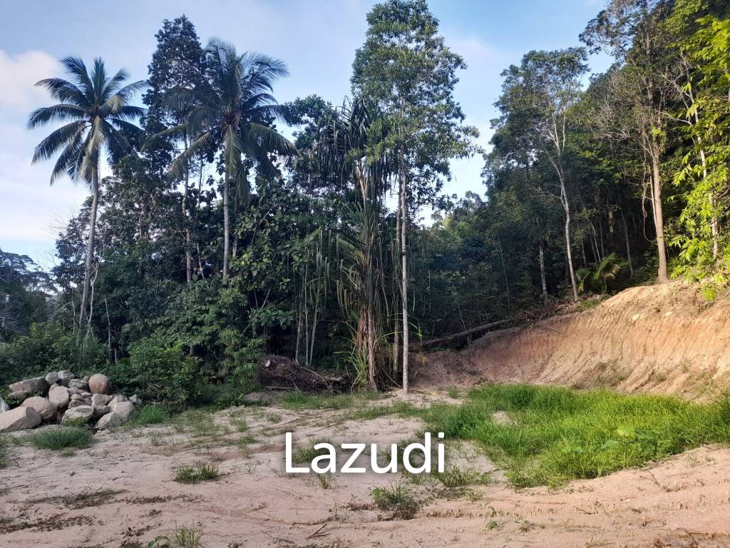 รูป 1,602.0 ตร.ม.ที่ดินสำหรับ ขายใน เกาะพะงัน - รูปที่ 11/15