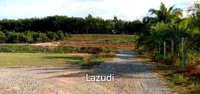 ที่ดิน เชียงราย : ขายที่ดิน 7 ไร่ ใกล้กับ ถ.บายพาส เชียงราย-เชียงของ