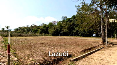 ที่ดิน ม.แม่โจ้ : ขายที่ดิน 3 งาน ใกล้ ม.แม่โจ้ ในอ.สันทราย เชียงใหม่