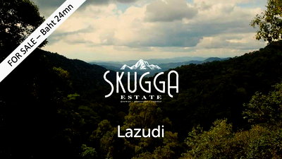 ที่ดิน แม่ออน เชียงใหม่ : ไร่ชาและ กาแฟ