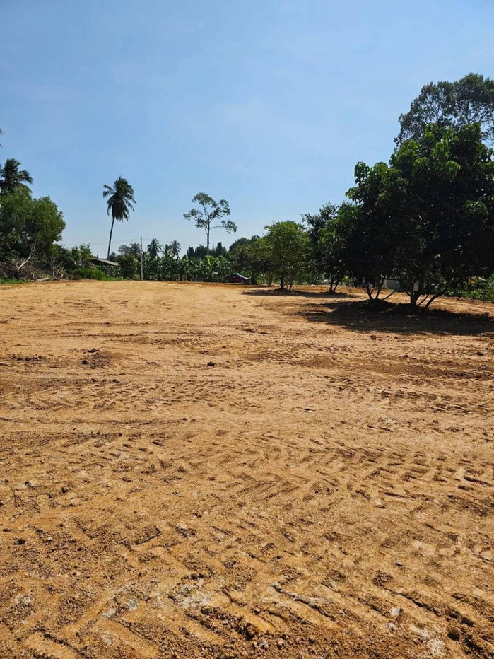 รูป Land 1 Rai 2 Ngan for Sale in Huai Yai Pattaya - รูปที่ 2/5