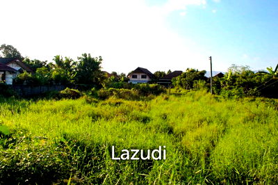 ที่ดิน เชียงราย : The Land is Suitable for Building a House.