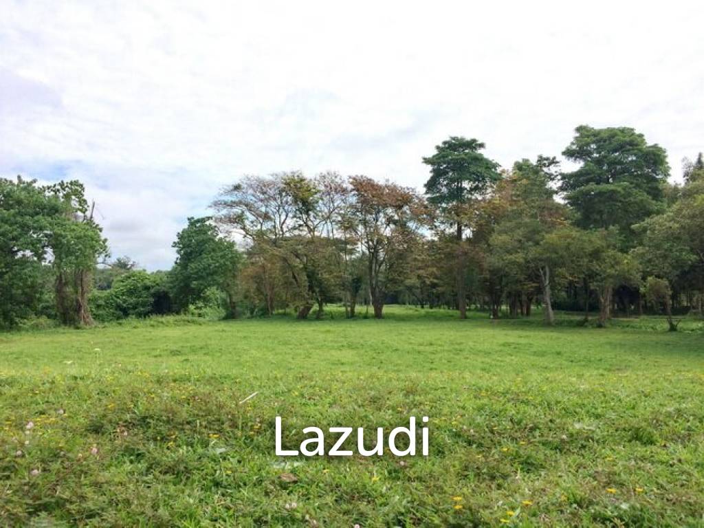 รูป ขายที่ดินแปลงใหญ่ใกล้น้ำตกขุนกรณ์, แม่กรณ์ เชียงราย - รูปที่ 11/13