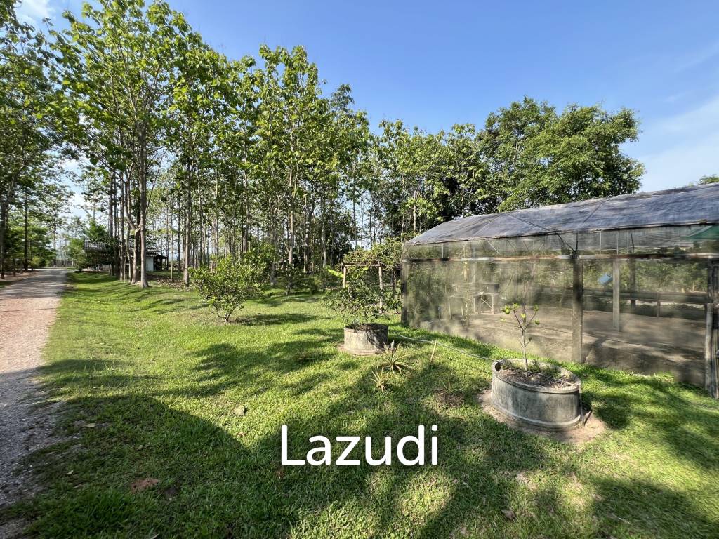 รูป ขายบ้าน 2 ห้องนอนในสวนไม้สักในพื้นที่กว่า 7 ไร่ - รูปที่ 41/74