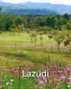 listing thumbnail image 1