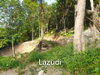 listing thumbnail image 13