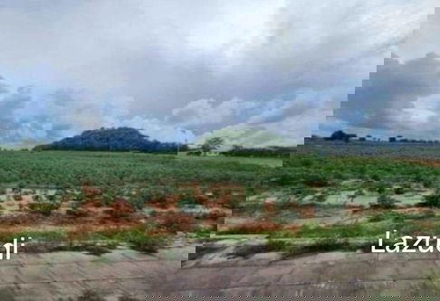 Prime Roadside Land Plot 12+ Rai in Thung Klom-Talman