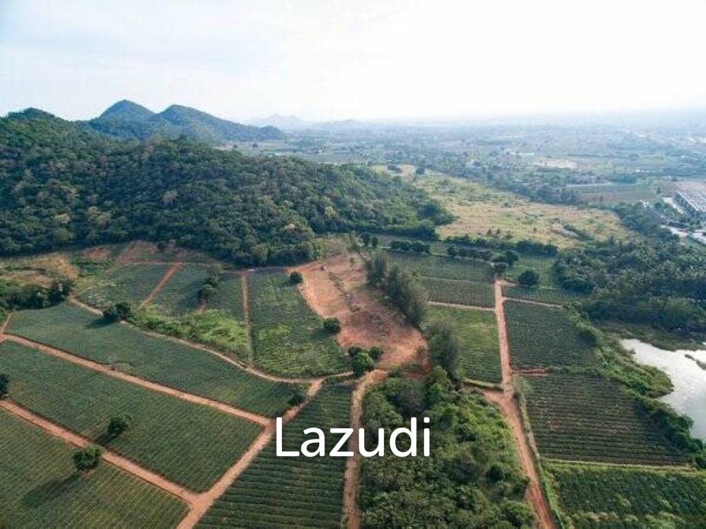 รูป Beautiful and Exclusive Sea View Land of 3.9 Rai - รูปที่ 9/13