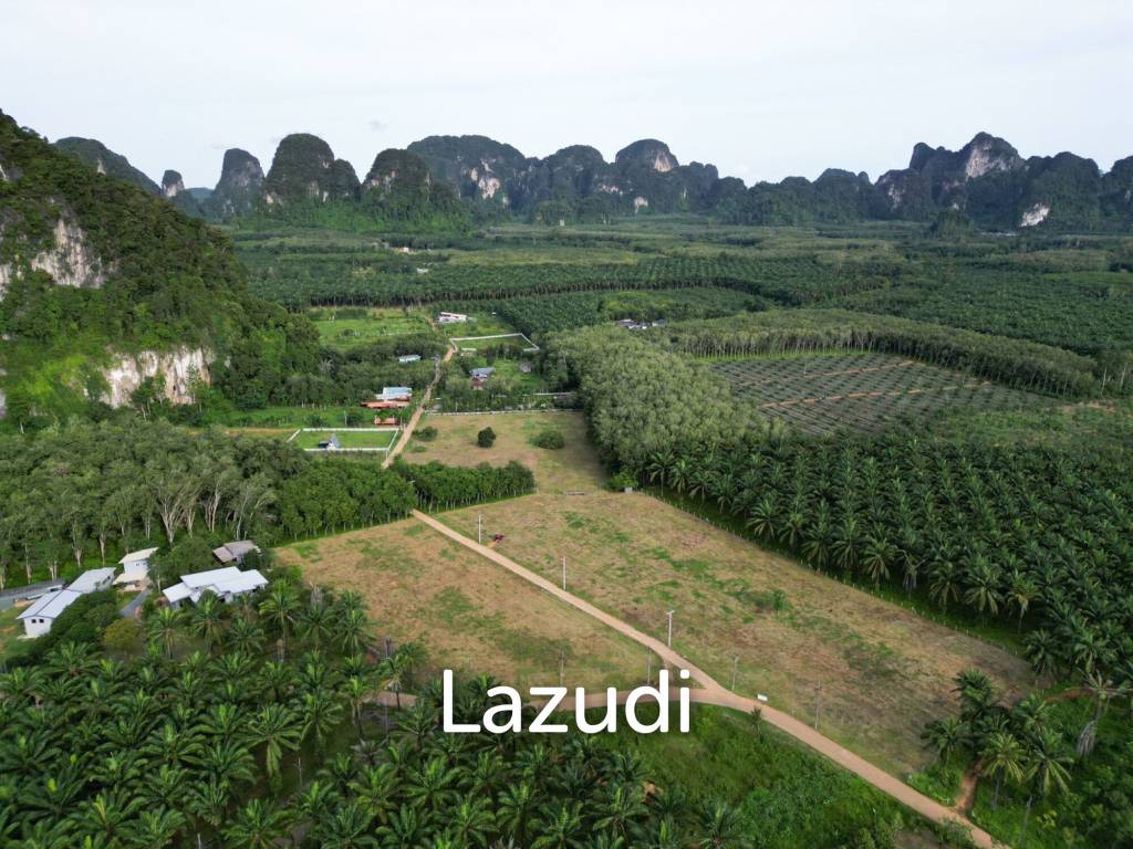 picture Stunning Freehold Land in Nong Thale, Krabi - 4/4