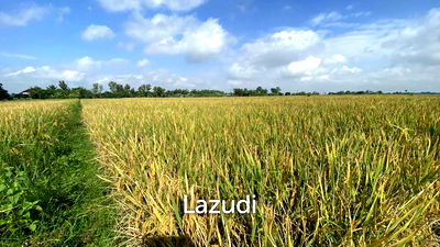 ที่ดิน เชียงราย : ที่ดินขายในเชียงราย 4 ไร่ ราคาถูกมาก