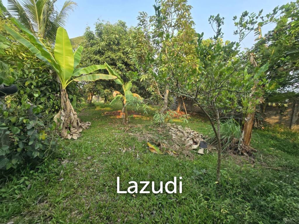 รูป ขายบ้าน 2 ห้องนอน 2 ห้องน้ำ พร้อมสวนผลไม้ - รูปที่ 13/16