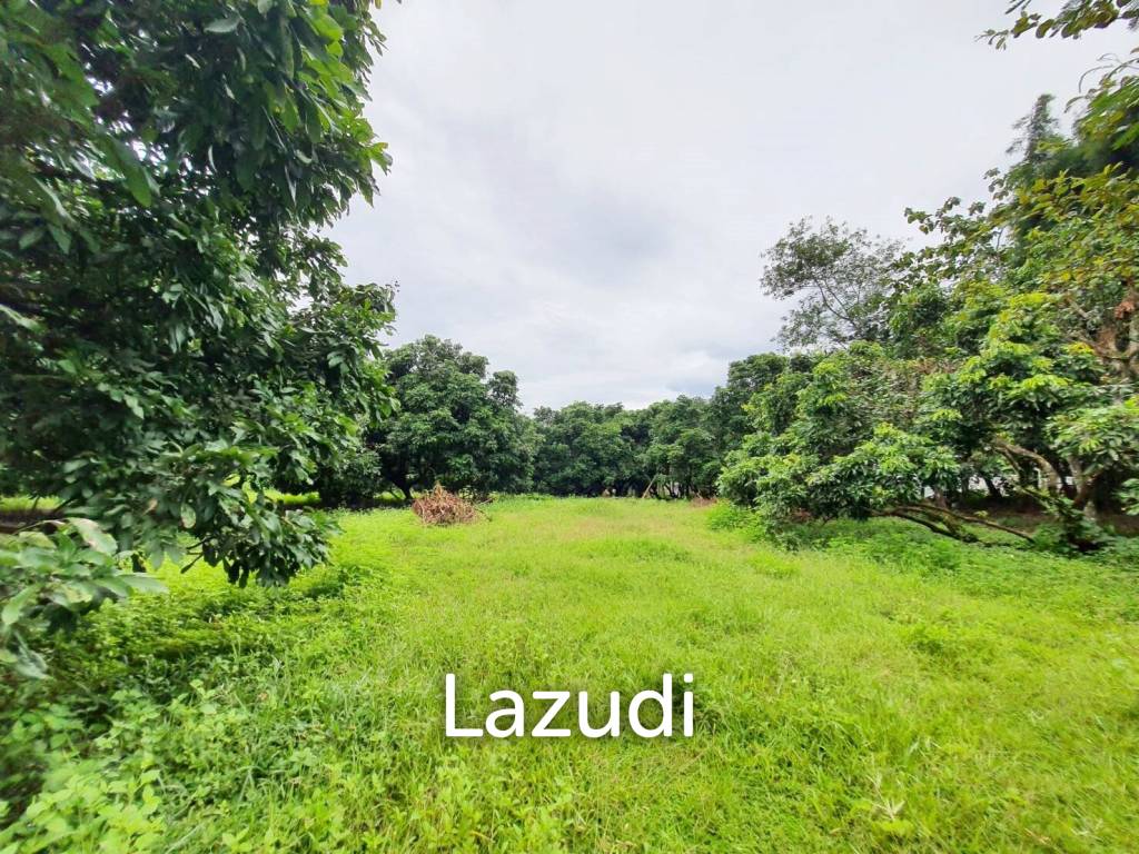 รูป ขายที่ดิน 2 ไร่โฉนดเป็นเนินเล็กๆใกล้มฟล. - รูปที่ 6/15